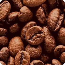 Beans